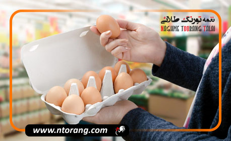 نشانه های فاسد شدن تخم مرغ